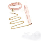 Luxury Leather Collar & Leash Set (Colors) - Puppy's Aesthetics