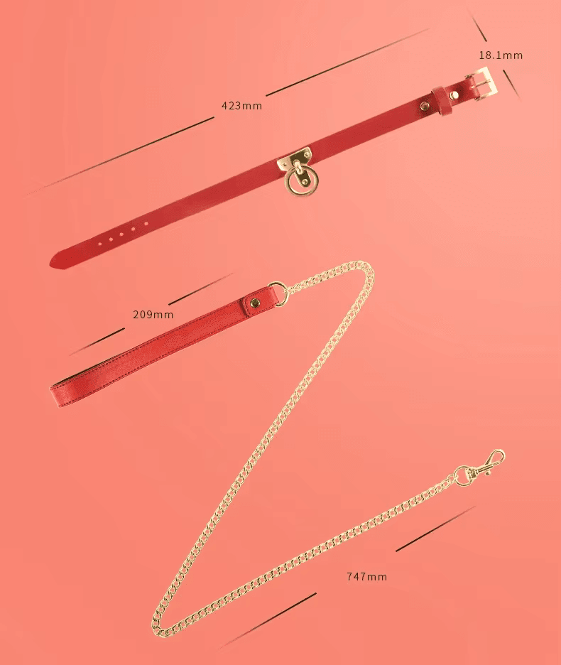 Luxury Leather Collar & Leash Set (Colors) - Puppy's Aesthetics