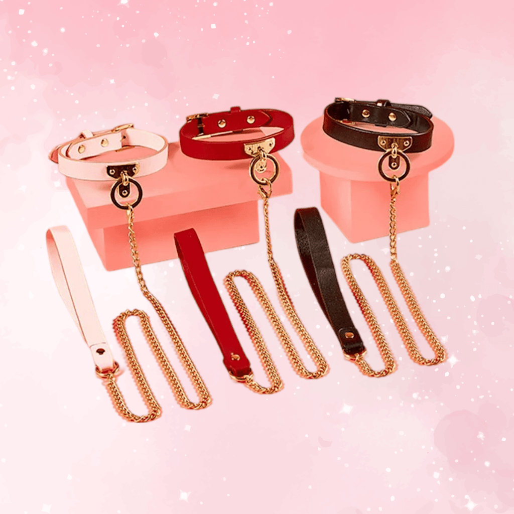 Luxury Leather Collar & Leash Set (Colors) - Puppy's Aesthetics