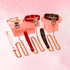 Luxury Leather Collar & Leash Set (Colors) - Puppy's Aesthetics