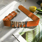 Puppy Play Collar (Colors) - Puppy's Aesthetics
