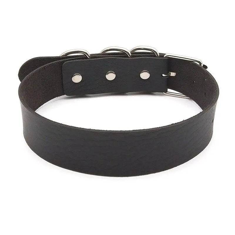 Puppy Play Collar (Colors) - Puppy's Aesthetics