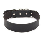 Puppy Play Collar (Colors) - Puppy's Aesthetics