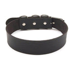 Puppy Play Collar (Colors) - Puppy's Aesthetics