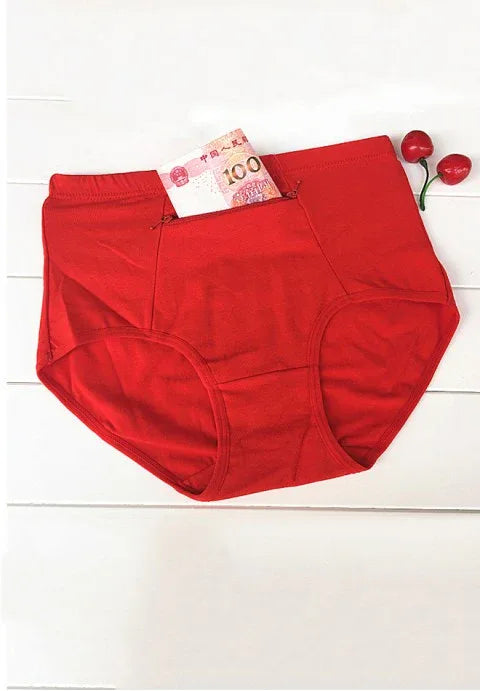 Cotton Panties with Zipper Pocket - Puppy's Aesthetics