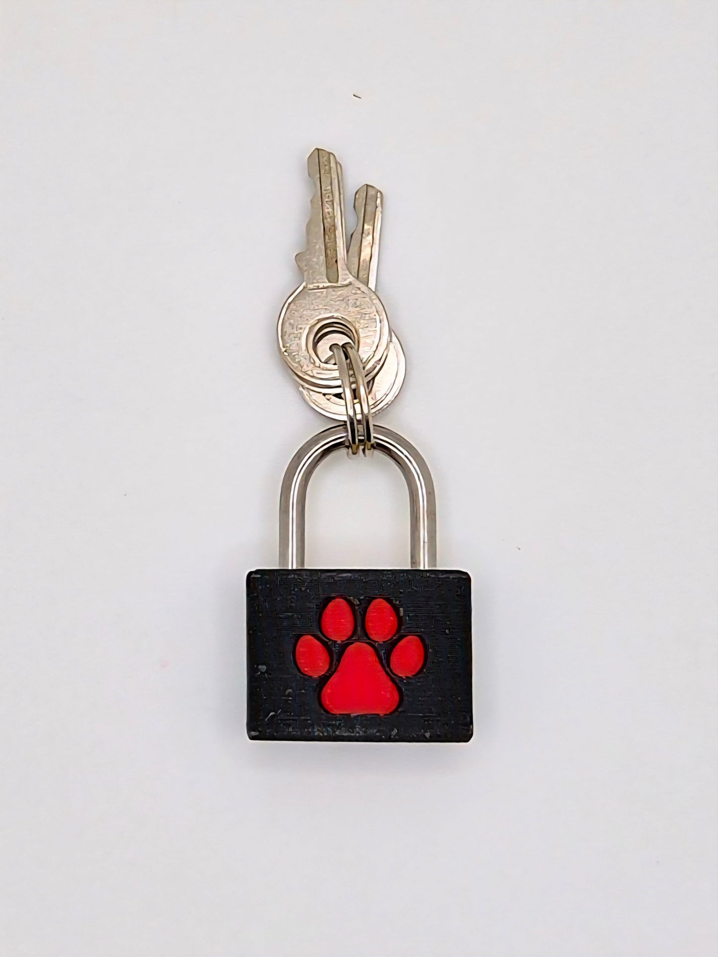 Small Lock & Cover – Custom Kink Collar Lock, Keyed Alike Options, Glow & Pride Styles