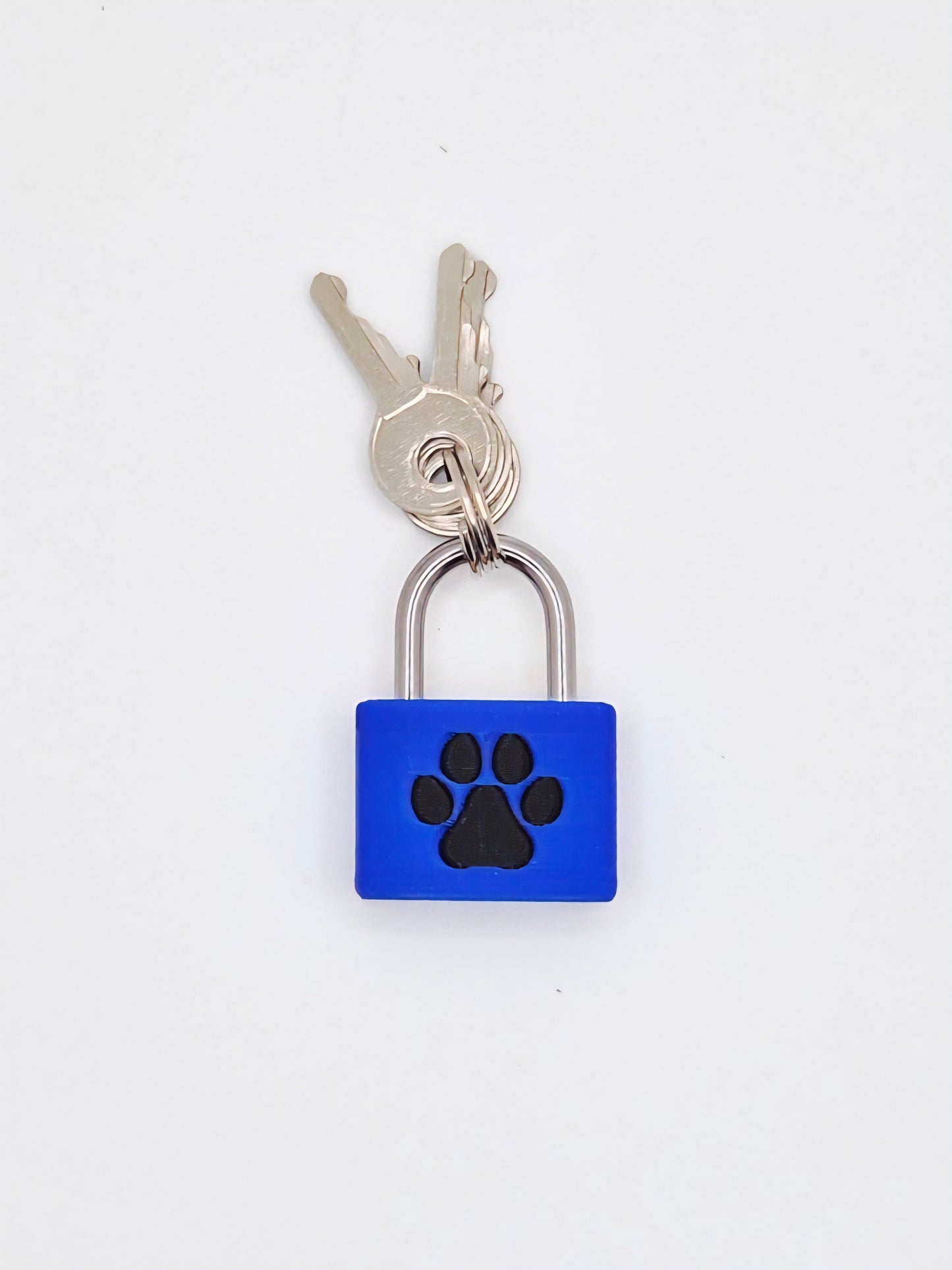 Small Lock & Cover – Custom Kink Collar Lock, Keyed Alike Options, Glow & Pride Styles