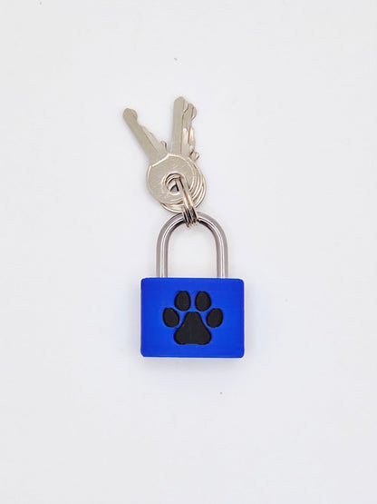 Small Lock & Cover – Custom Kink Collar Lock, Keyed Alike Options, Glow & Pride Styles