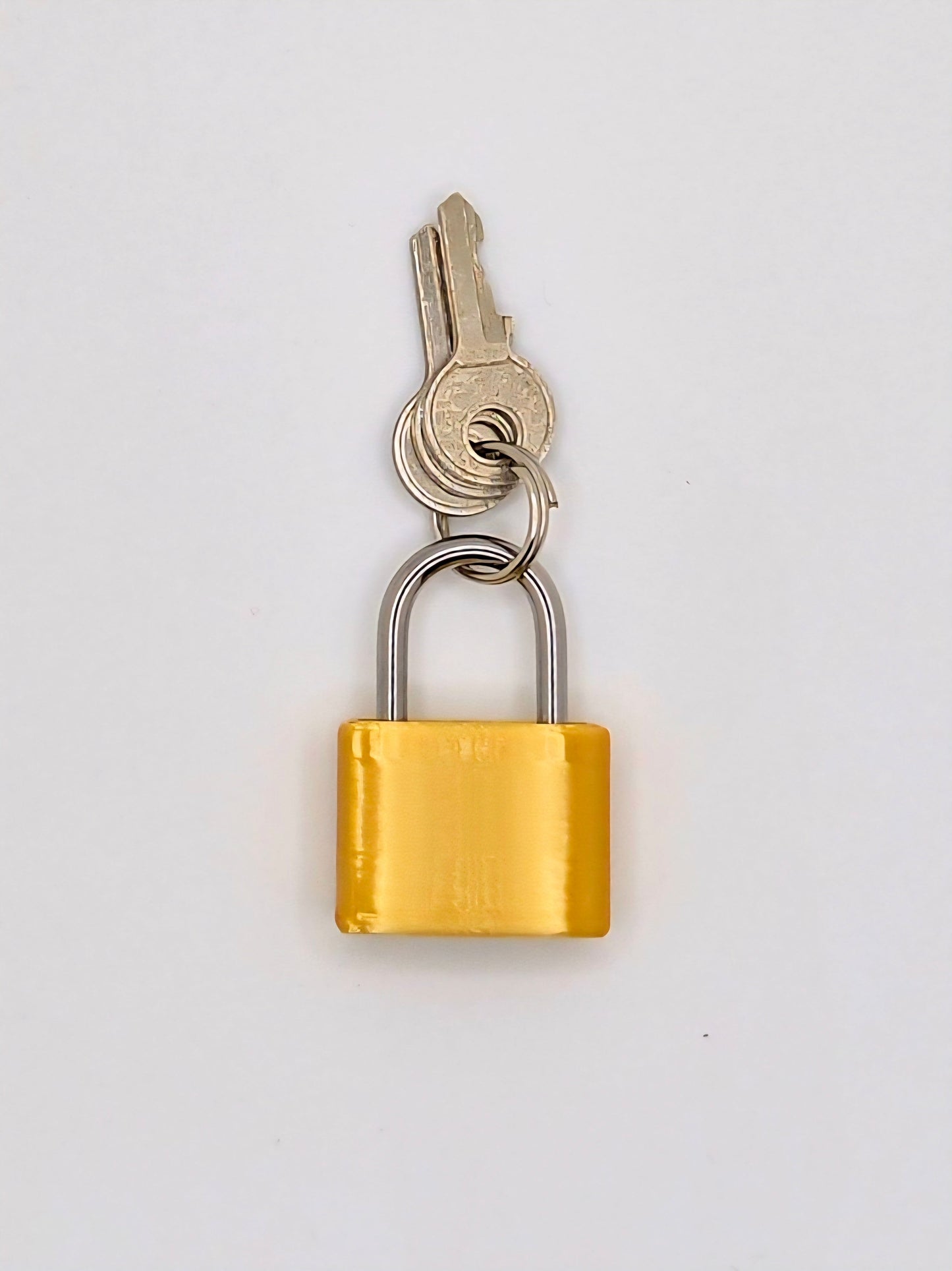 Small Lock & Cover – Custom Kink Collar Lock, Keyed Alike Options, Glow & Pride Styles
