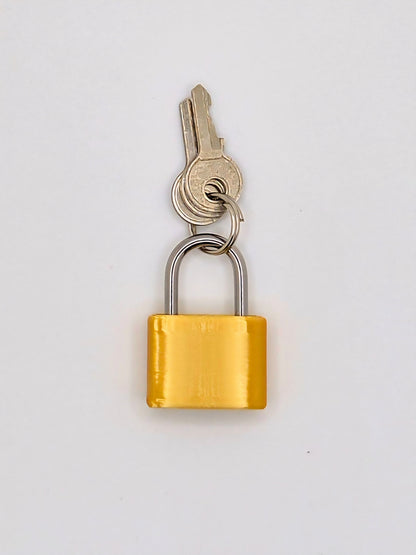 Small Lock & Cover – Custom Kink Collar Lock, Keyed Alike Options, Glow & Pride Styles