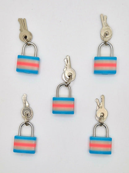 Small Lock & Cover – Custom Kink Collar Lock, Keyed Alike Options, Glow & Pride Styles