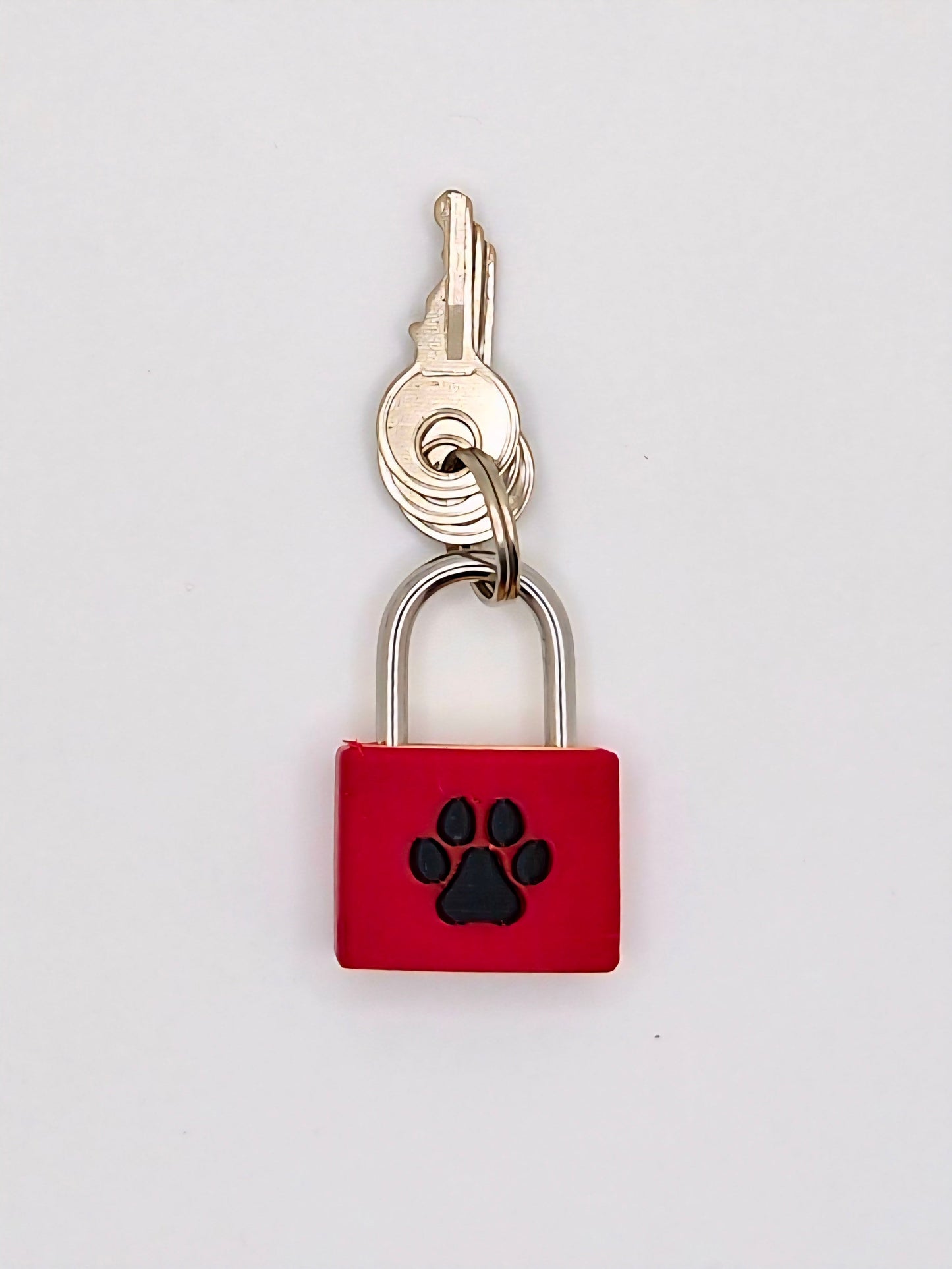 Small Lock & Cover – Custom Kink Collar Lock, Keyed Alike Options, Glow & Pride Styles