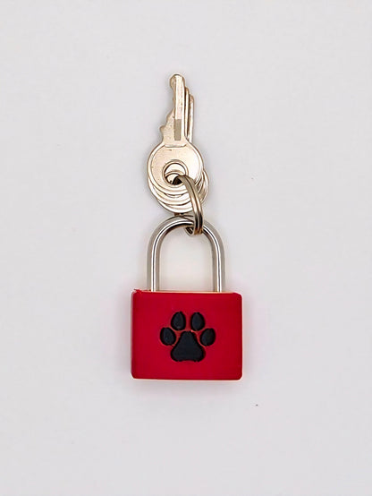 Small Lock & Cover – Custom Kink Collar Lock, Keyed Alike Options, Glow & Pride Styles