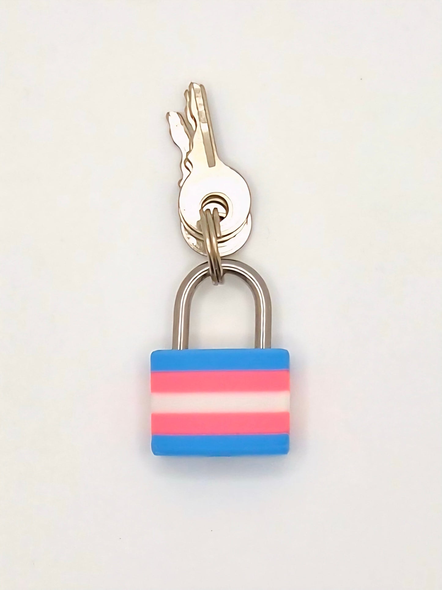 Small Lock & Cover – Custom Kink Collar Lock, Keyed Alike Options, Glow & Pride Styles