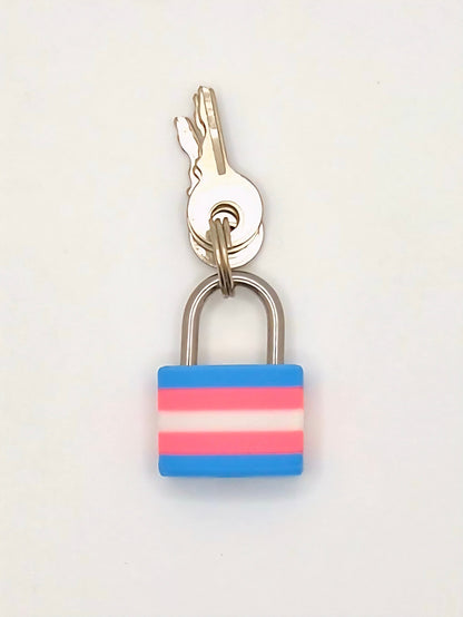 Small Lock & Cover – Custom Kink Collar Lock, Keyed Alike Options, Glow & Pride Styles