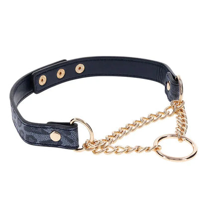 Cougar Day Collar – Fierce Elegance - Puppy's Aesthetics