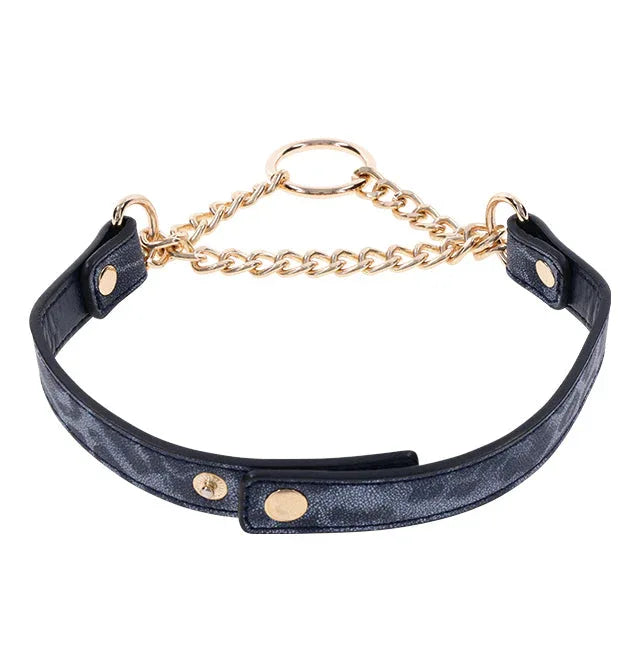 Cougar Day Collar – Fierce Elegance - Puppy's Aesthetics