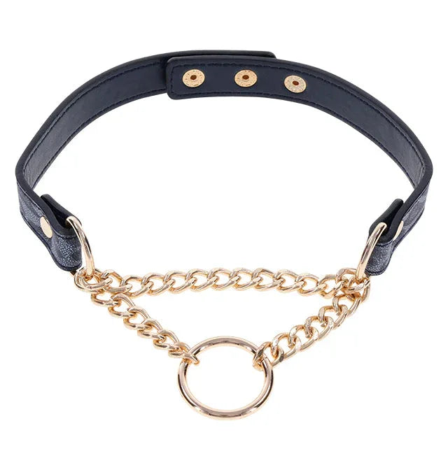 Cougar Day Collar – Fierce Elegance - Puppy's Aesthetics
