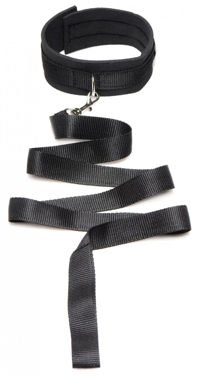 Frisky 46 Inch Leash and Collar Set - Puppy's Aesthetics
