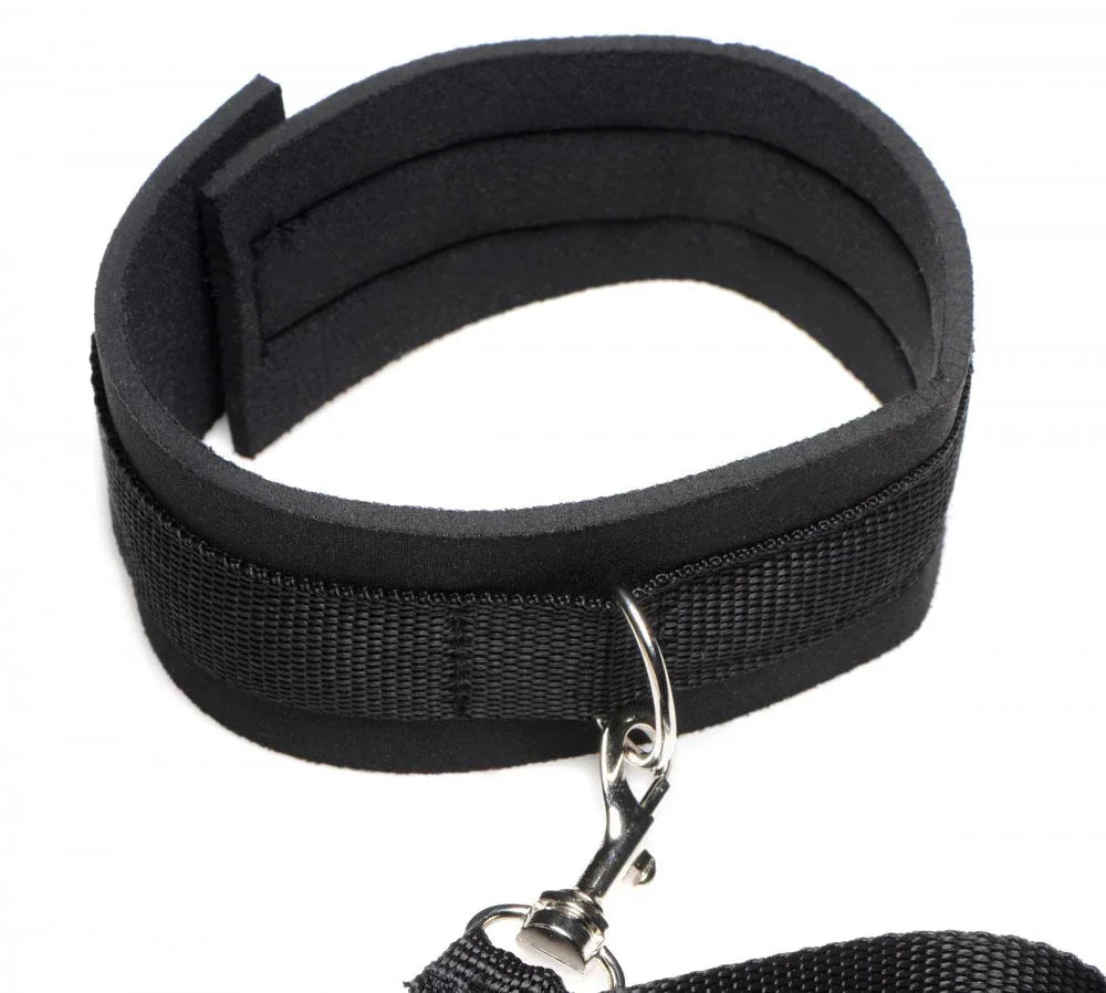 Frisky 46 Inch Leash and Collar Set - Puppy's Aesthetics