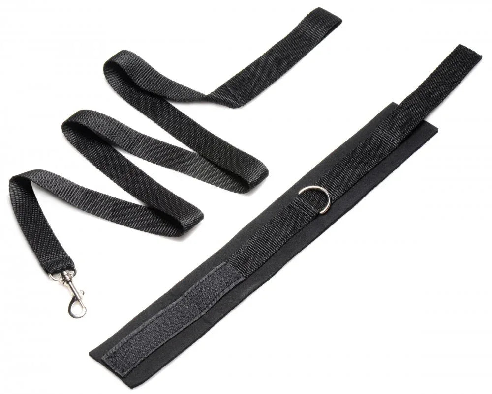 Frisky 46 Inch Leash and Collar Set - Puppy's Aesthetics