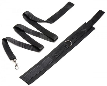 Frisky 46 Inch Leash and Collar Set - Puppy's Aesthetics